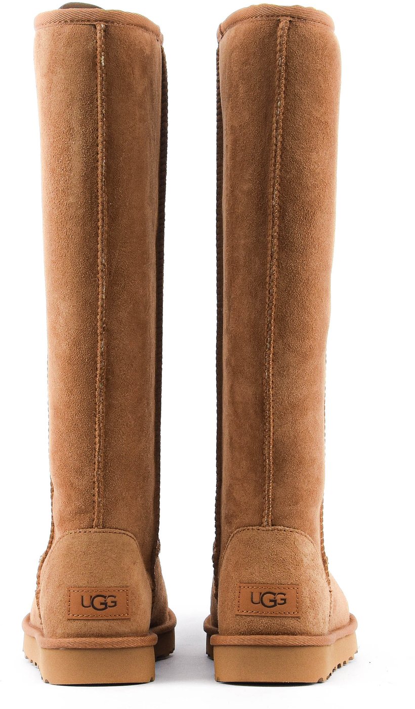Classic Ultra Tall Chestnut
