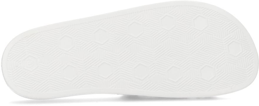 SLIDES WITH PRINT