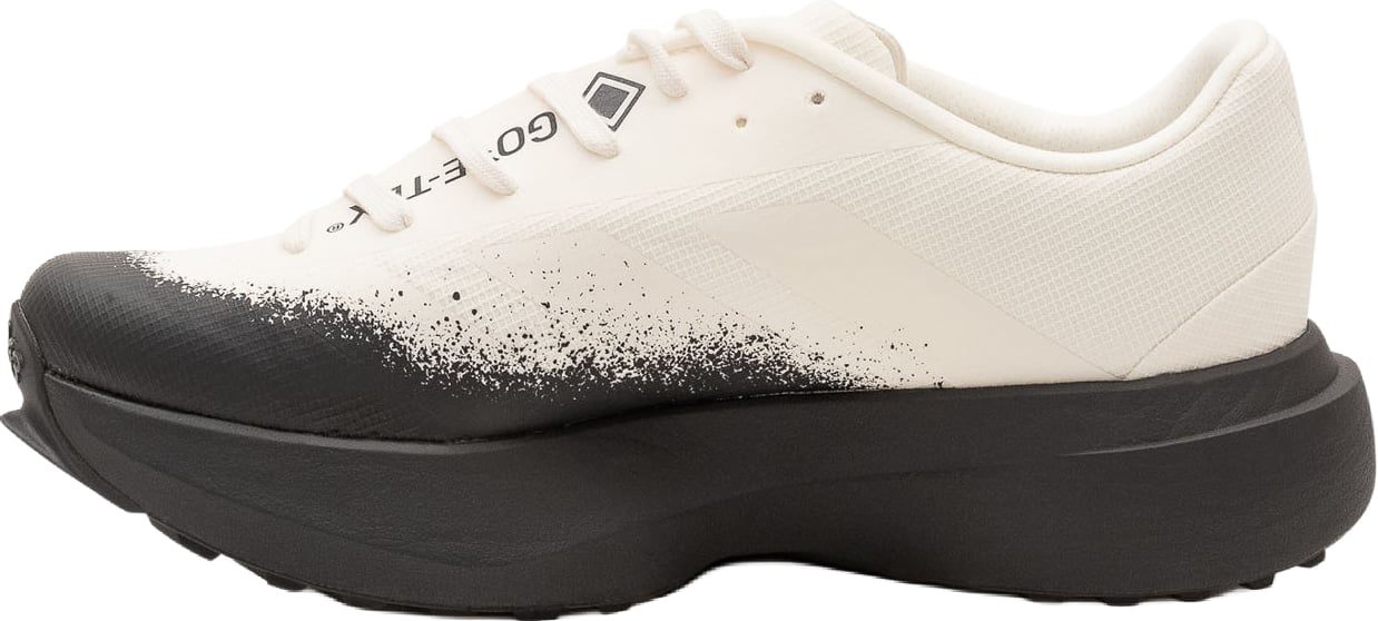 Sneakers Evo SL ATR GTX con Motivo Grafico