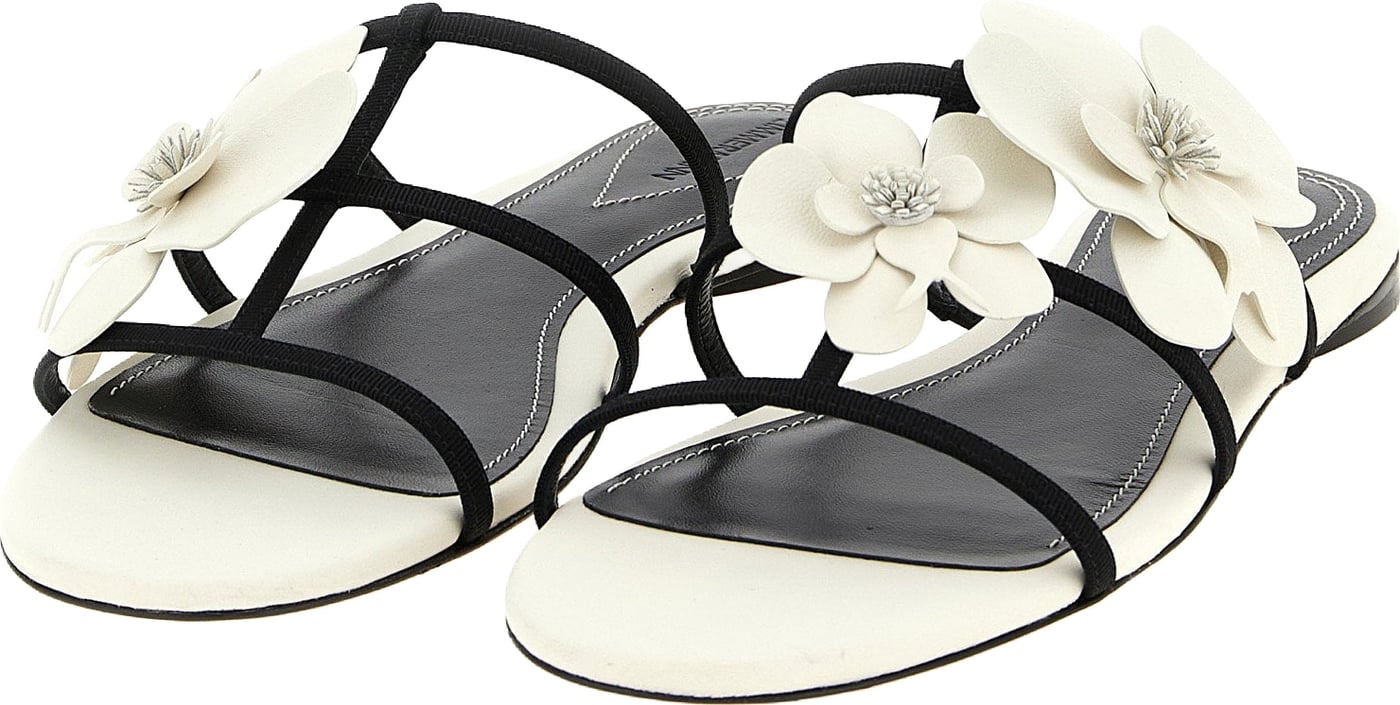 Zimmermann Orchid Slides
