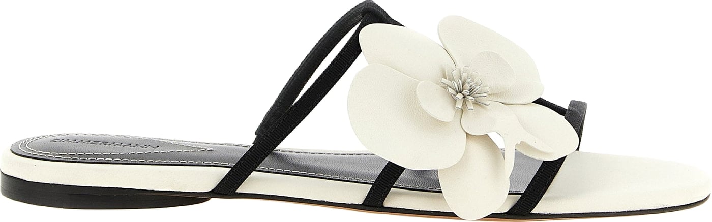 Zimmermann Orchid Slides