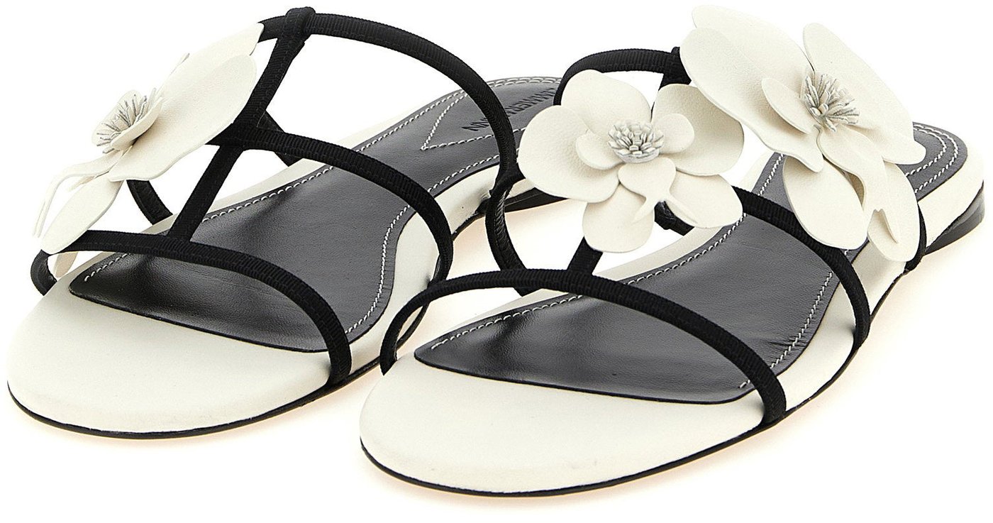 Zimmermann Orchid Slides