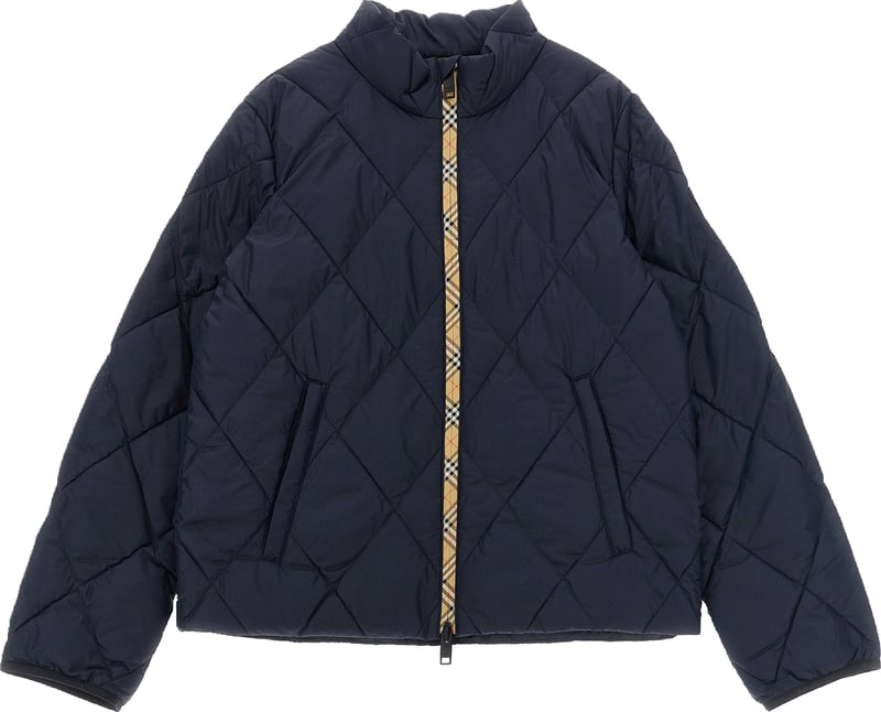 Burberry Blue Taylor Jacket