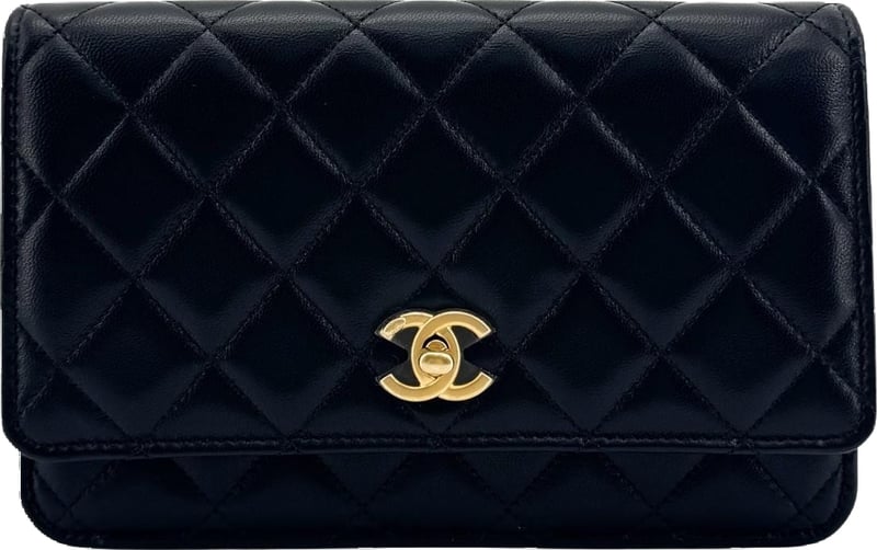 Chanel Pearl Crush Wallet on Chain Quilted Lambskin