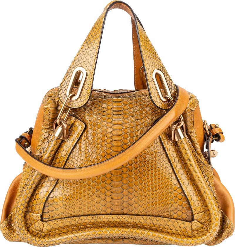 Chloé Python Leather Paraty Shoulder Bag