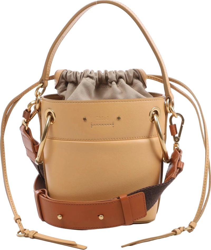 Chloe Roy Leather x Canvas 2Way Shoulder Bag in Beige