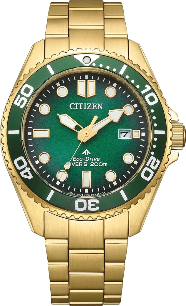 BN0262-59W Promaster Marine horloge