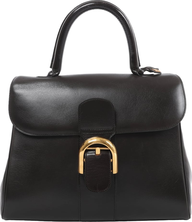 Delvaux Brillant MM Leather Handbag in Brown