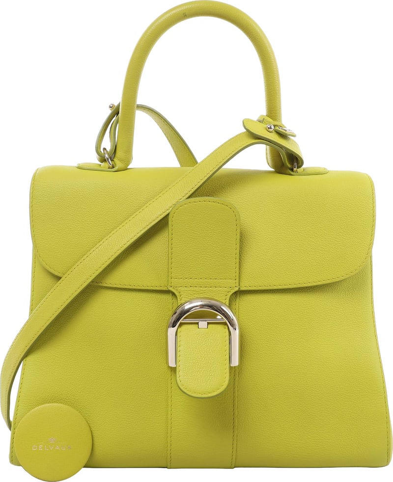 Delvaux Brillant MM Leather 2Way Handbag in Green