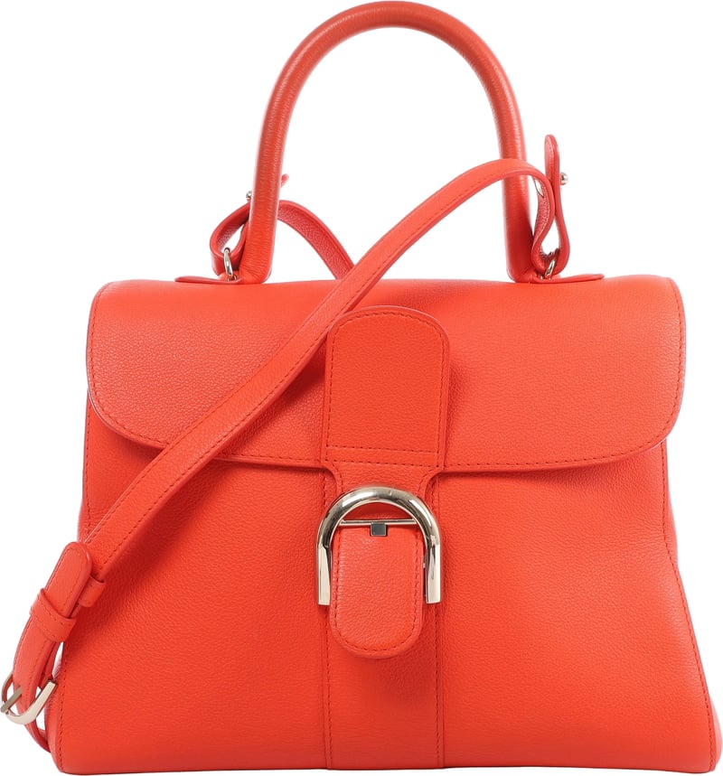 Delvaux Brillant MM Leather 2Way Handbag in Orange