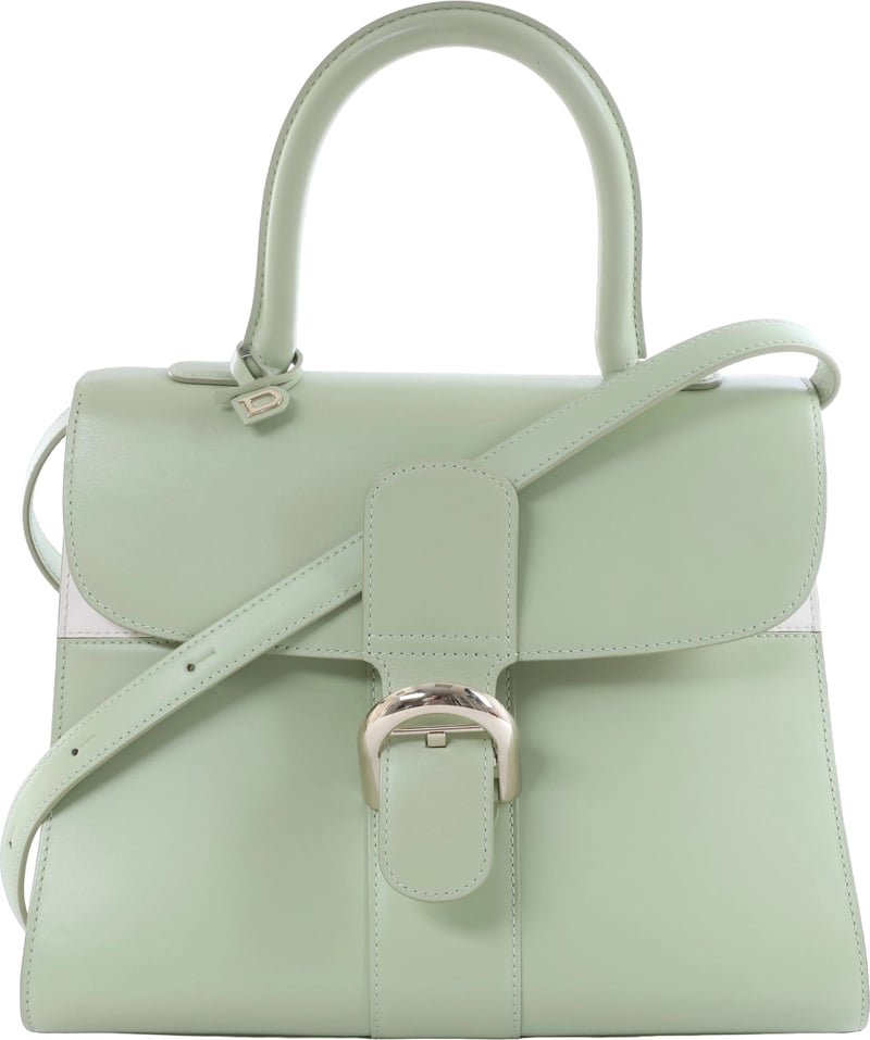 Delvaux Brillant MM Leather 2Way Handbag in Green