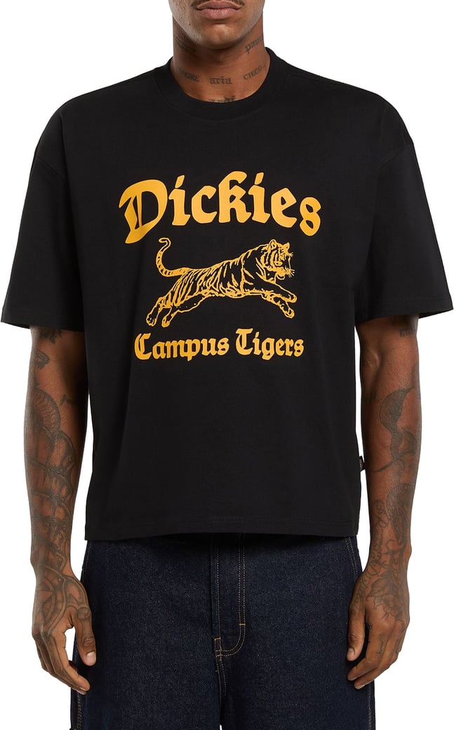Dickies Apalachicolsa T-shirt Zwart