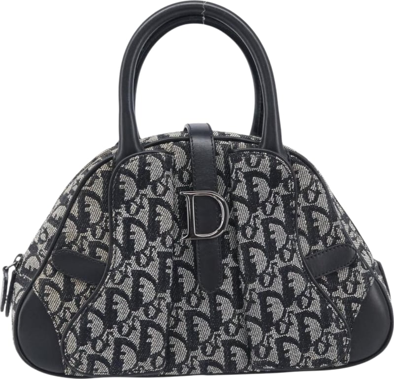 Christian Dior Trotter Double Saddle Canvas