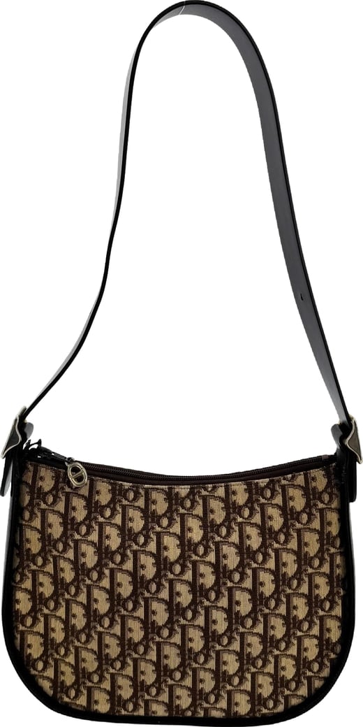 Christian Dior Vintage Trotter Pochette Diorissimo Canvas Small