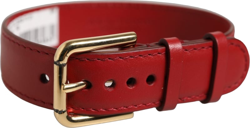 Dolce & Gabbana Red Calfskin Leather Gold Buckle Belt Strap Bracelet