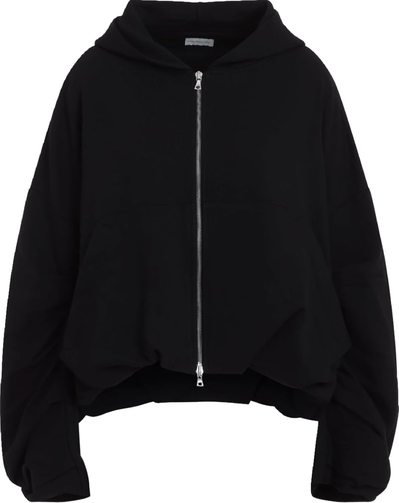 Dries Van Noten Hannett Tris Hoodie