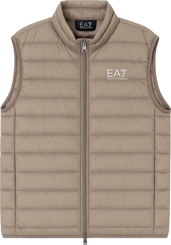 Coats Roasted Cashew