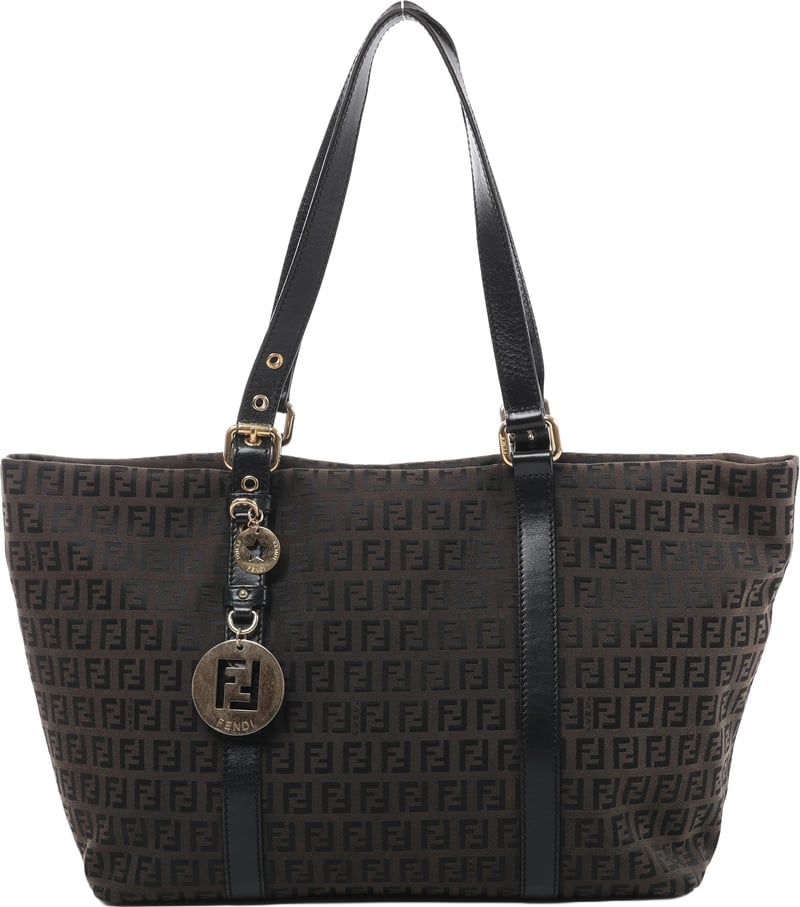 Fendi Zucchino Canvas & Leather Shoulder Bag in Brown x Black 8BH215
