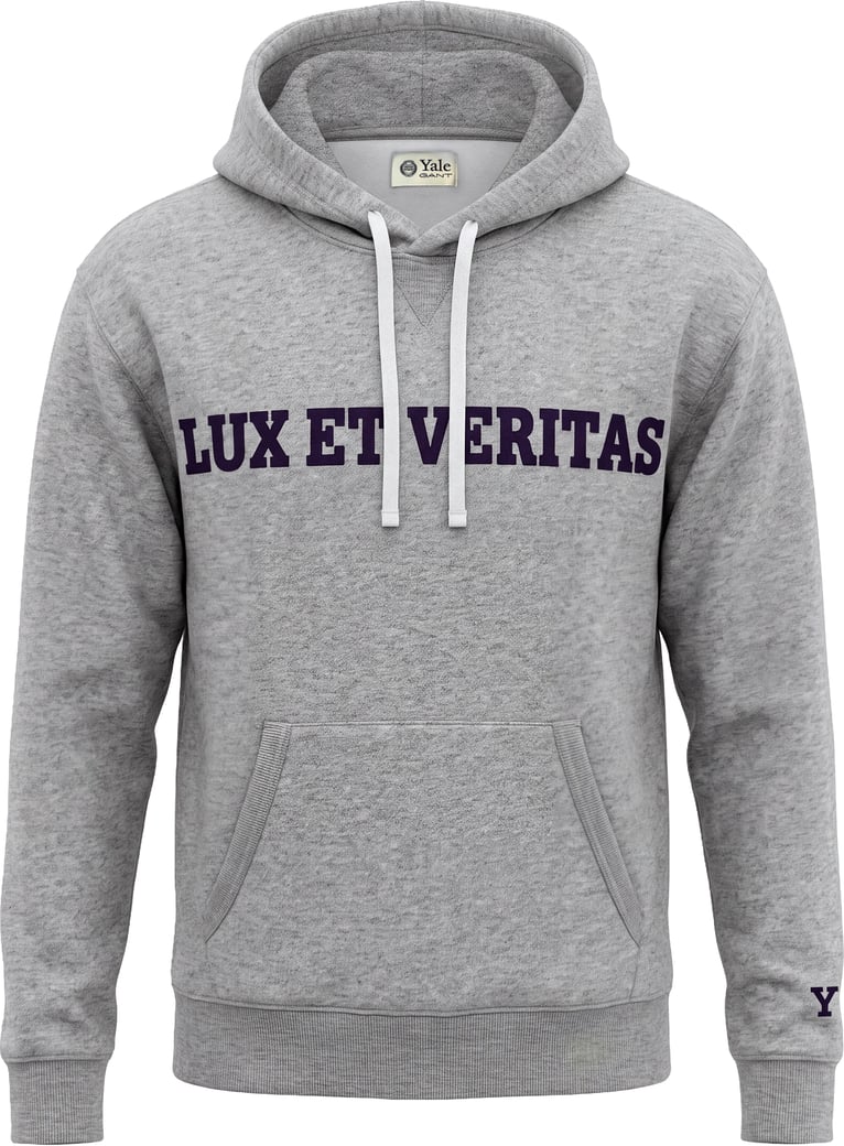 Hoodie in cotton