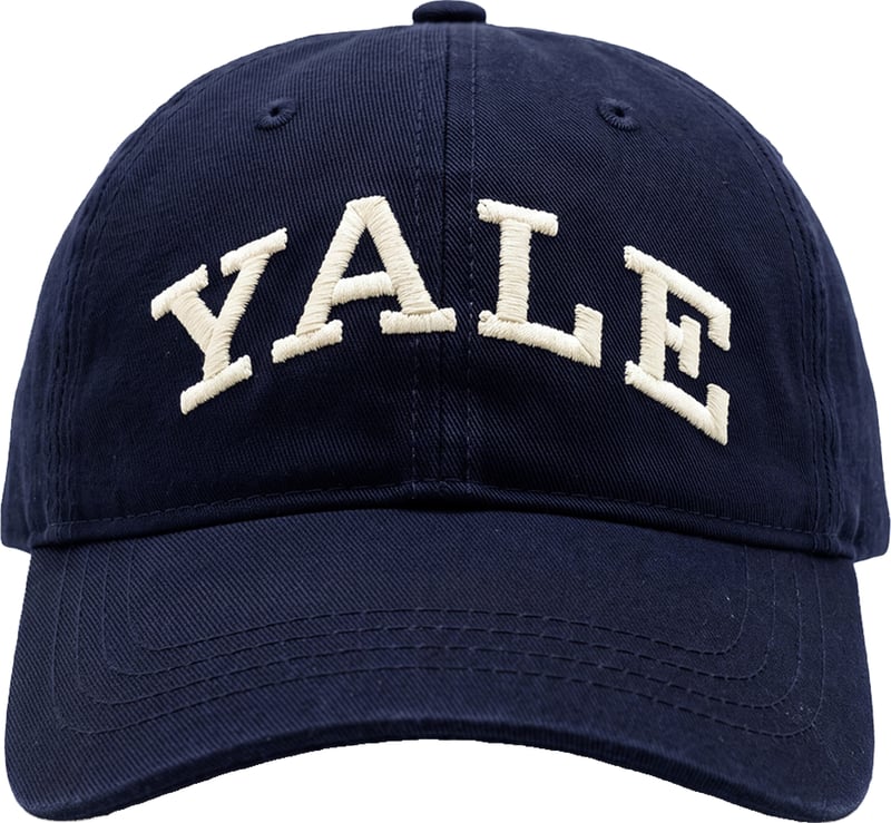 Baseball cap with embroidery