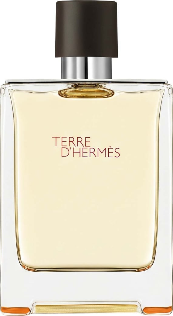 Hermès Terre D'hermes Eau De Toilette Spray 100 ml