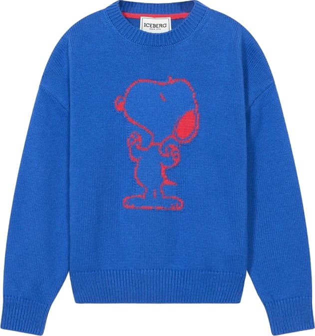 Boys' crew-neck sweater with blue Snoopy graphic