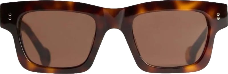 Sunglasses Brown