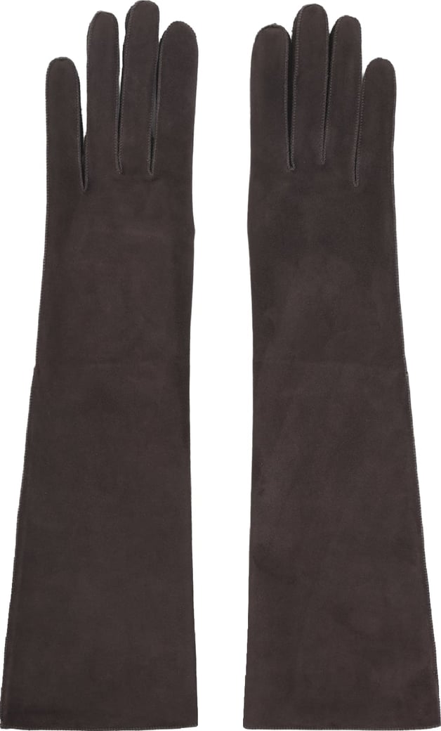 Lanvin Long Slim Gloves