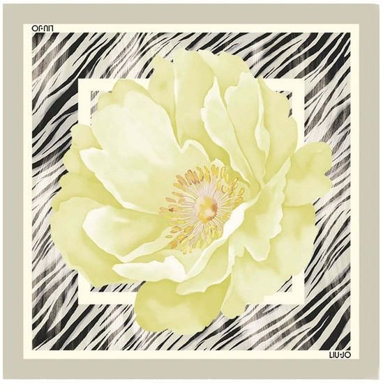 Liu Jo Gray Polyester Foulard