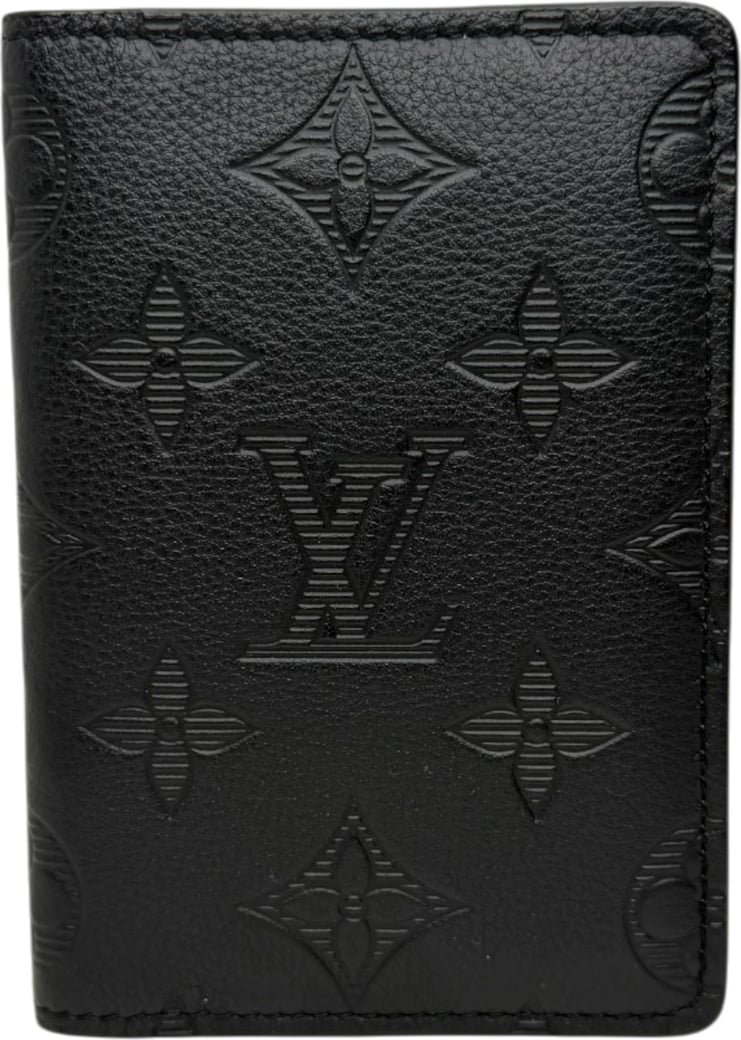 Louis Vuitton Bag Organiser Monogram Shadow Leather