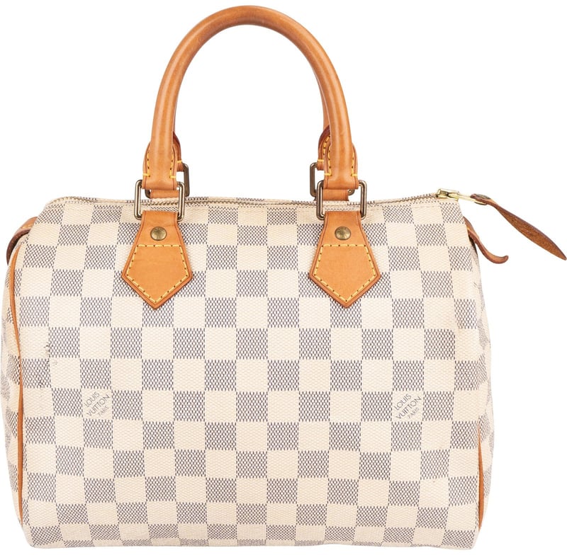 Louis Vuitton Monogram Damier Azur Canvas Speedy 25 Handbag