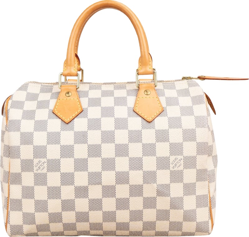 Louis Vuitton Monogram Damier Azur Speedy 25 Handbag