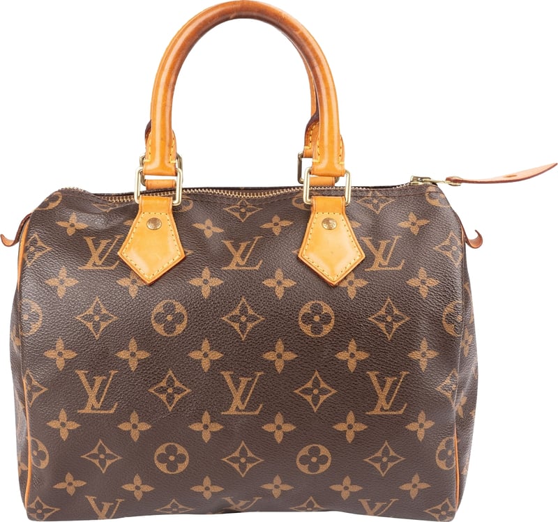 Louis Vuitton Monogram Canvas Speedy 25 Handbag