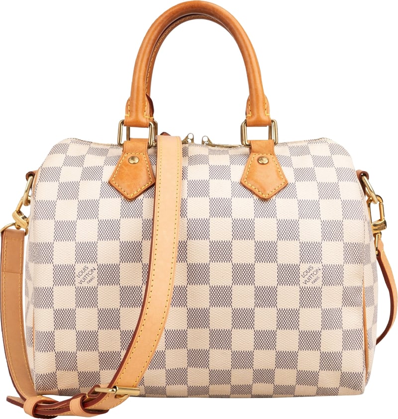 Louis Vuitton Monogram Damier Azur Canvas Speedy 25 Bandouliere Handbag