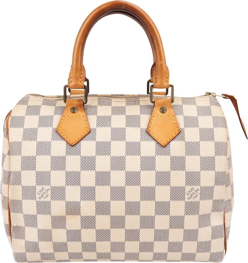 Louis Vuitton Monogram Damier Azur Canvas Speedy 25 Handbag