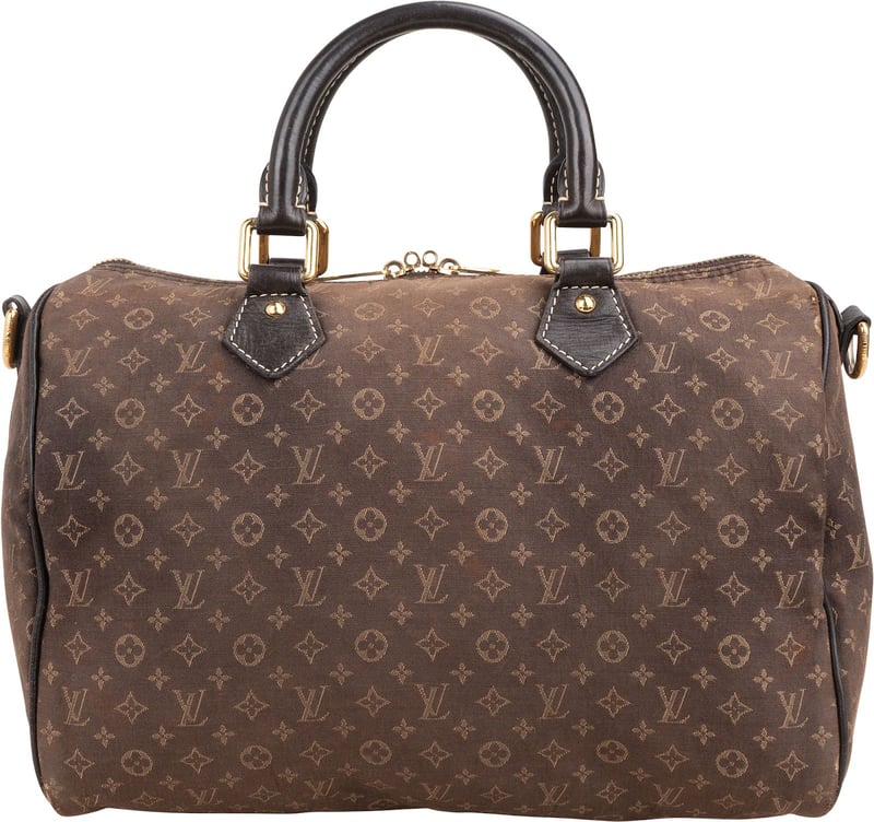 Louis Vuitton Monogram Mini Lin Idylle Fusain Speedy 30 Bandoulière Handbag