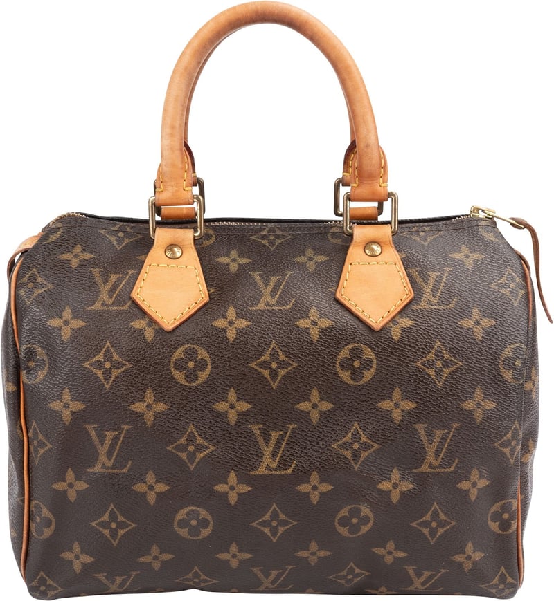 Louis Vuitton Monogram Canvas Speedy 25 Handbag
