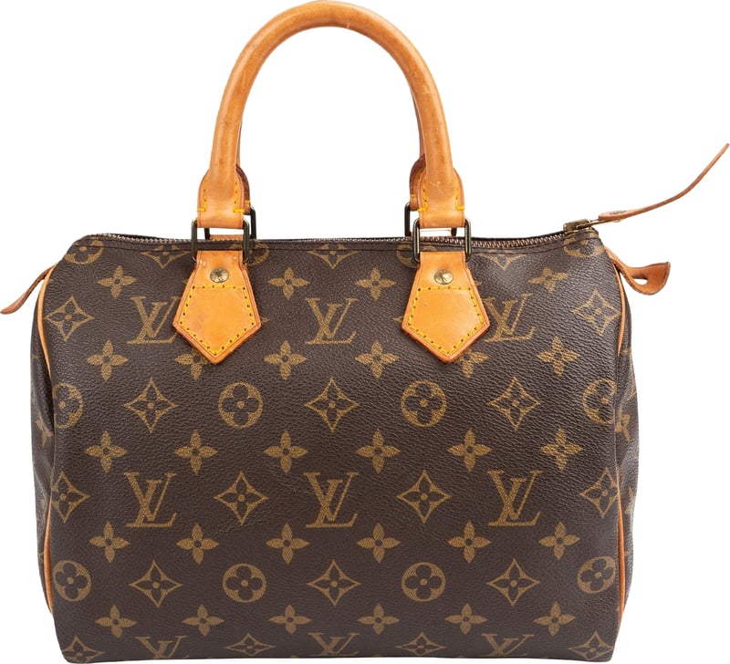 Louis Vuitton Monogram Canvas Speedy 25 Handbag
