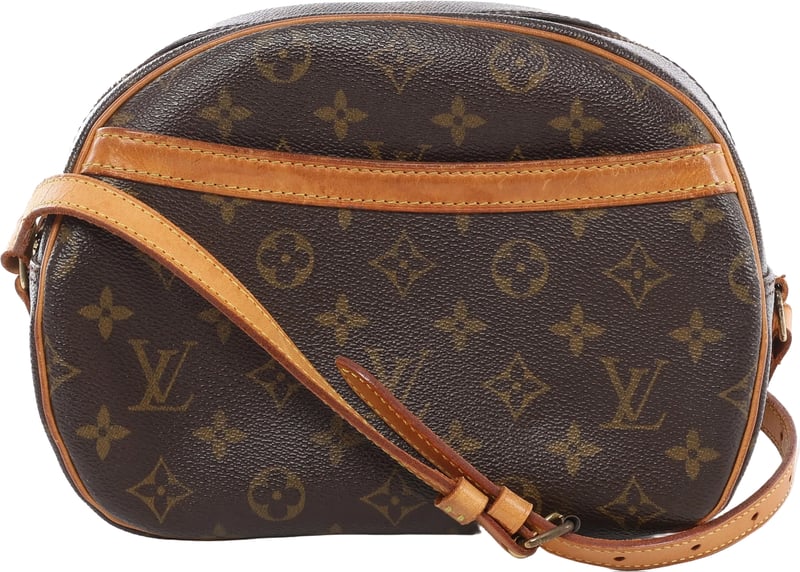 Louis Vuitton Blois Monogram Crossbody Bag in Brown M51221