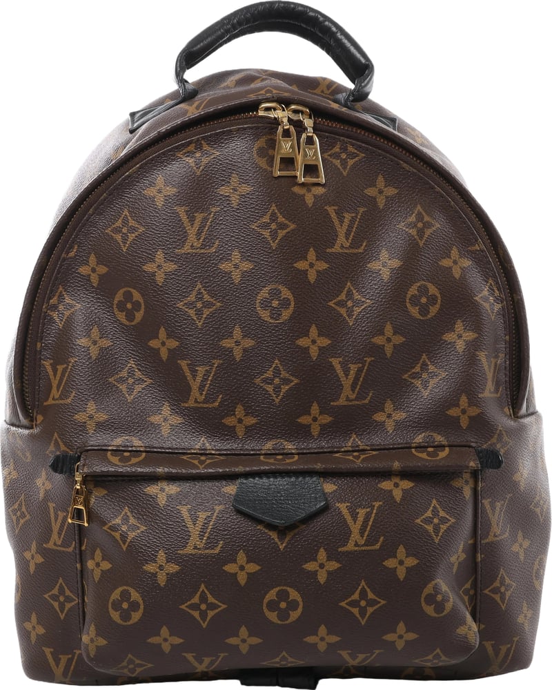 Louis Vuitton Palm Springs MM Monogram Backpack in Brown M44874
