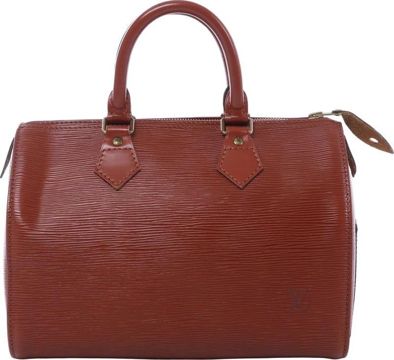 Louis Vuitton Speedy 25 Epi Leather Handbag in Brown M43013
