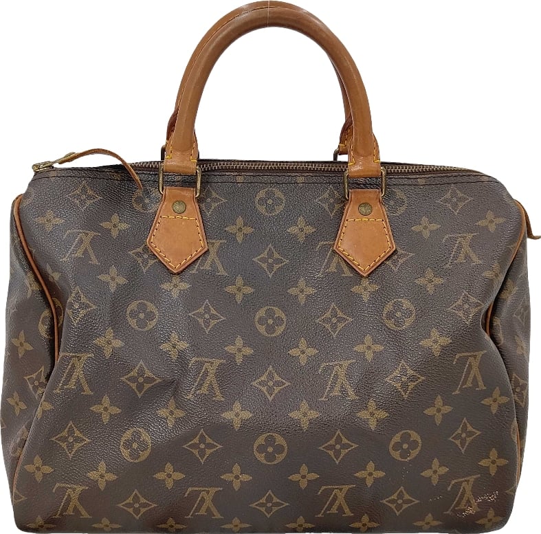 Louis Vuitton Speedy Monogram Canvas 30
