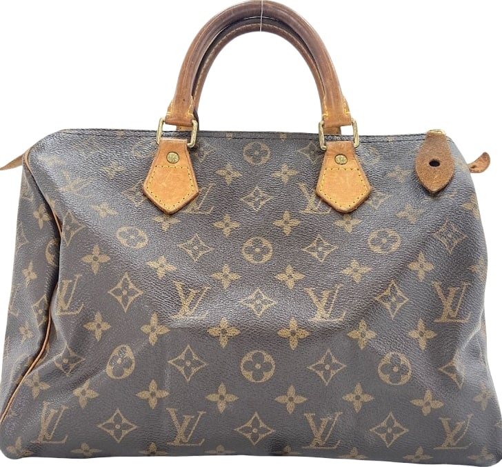 Louis Vuitton Speedy Monogram Multicolor 30