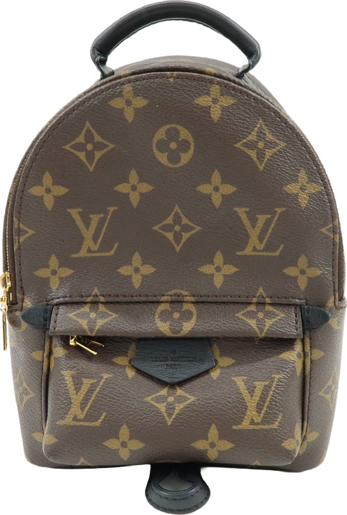 Louis Vuitton Palm Springs Monogram Canvas Mini