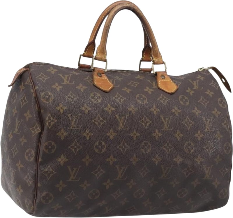 Louis Vuitton Speedy Monogram Canvas 35