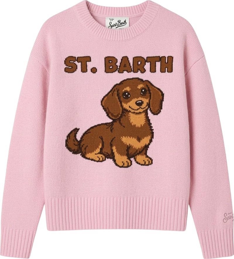 Sweaters Sb Cute Dachshund 21