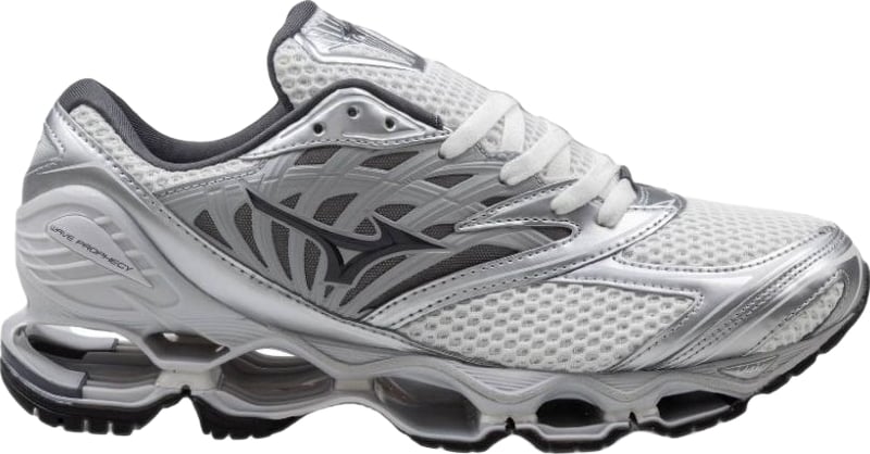 Sneakers Silver