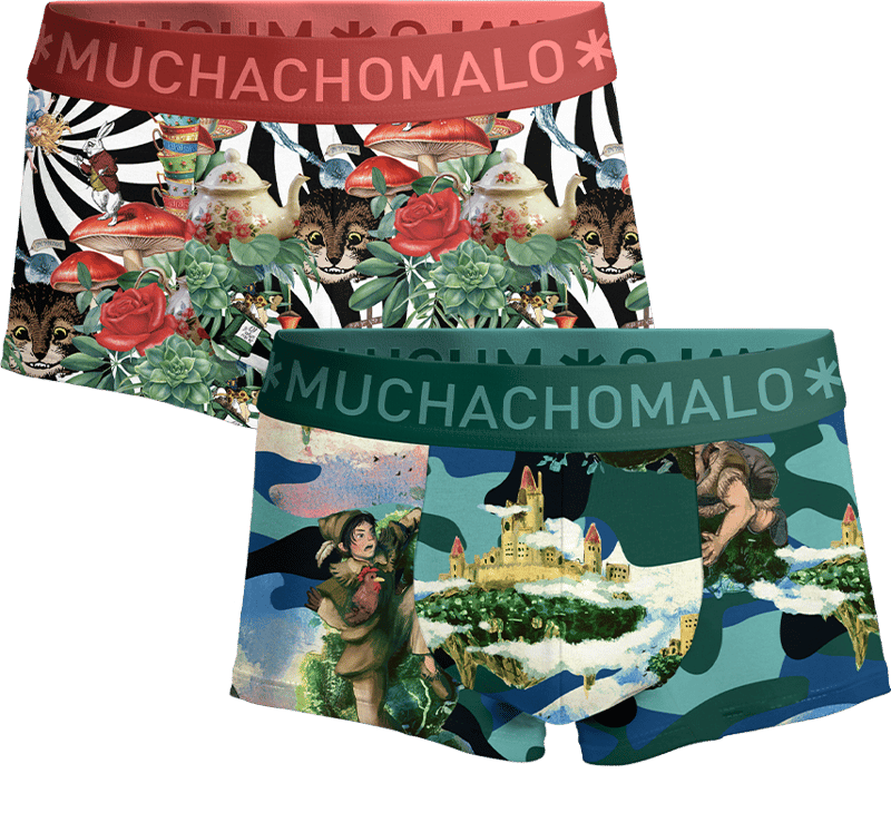 Boxershorts 2-Pack Multicolor