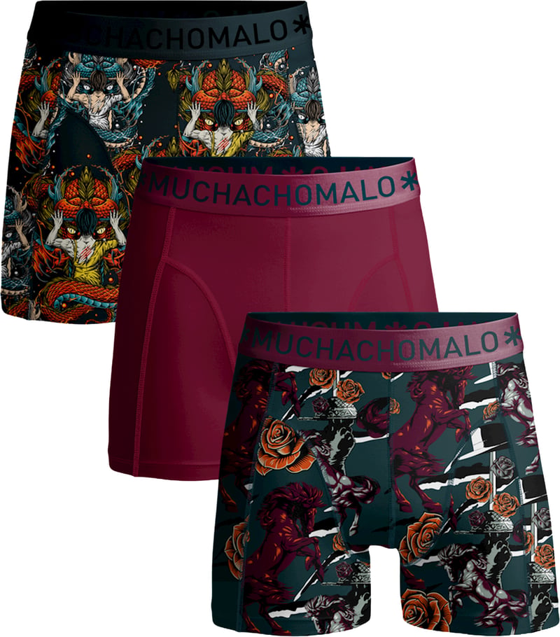 Boxershorts 3-Pack Multicolor