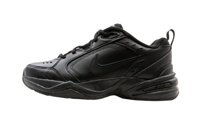 Nike Performance AIR MONARCH IV